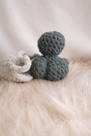 Trunk the Booty Turtle - Image 2